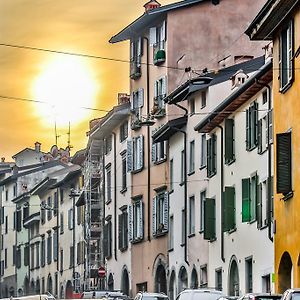 Belle Arti